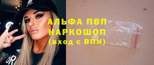 молекула духа Снежинск