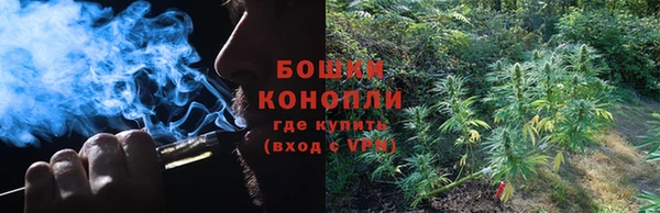 молекула духа Снежинск