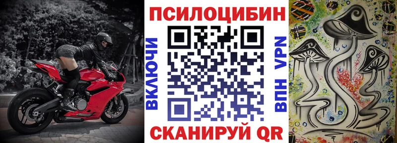 Купить  Заозёрск  Галлюциногенные грибы Psilocybe 